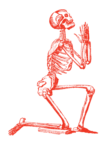 skeleton left