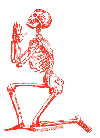 skeleton right