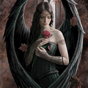 Angel Rose