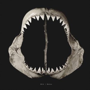 Bala - Maleza. 180gm LP. (For fans of Nirvana, Melvins, Fu Manchu & L7)