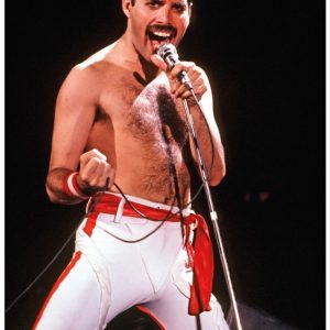 Queen - Freddie Mercury