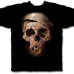 Skull with Worms